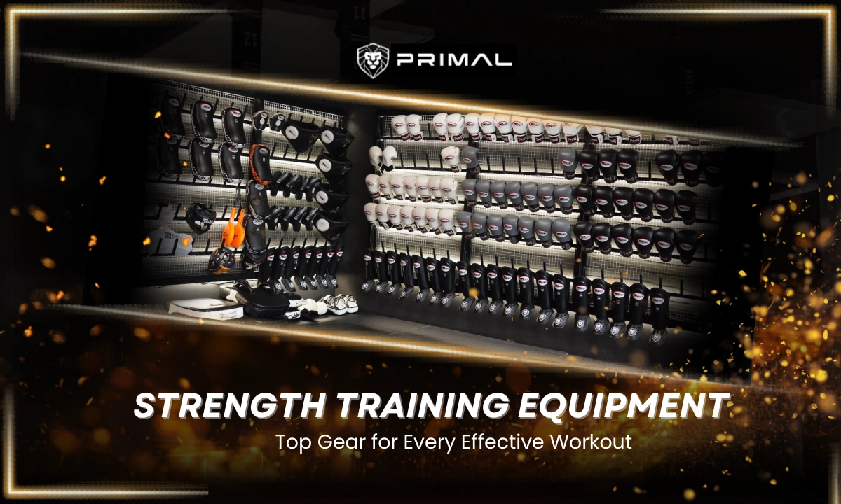 Top Dụng Cụ Tập Luyện Tốt Nhất Cho Người Mới Và Người Tập Gym